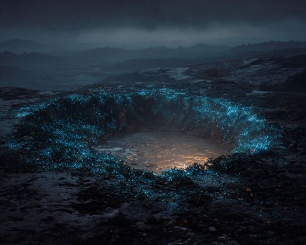 crater filled with bioluminescent fungi